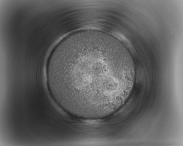 X0000089880796200707191955