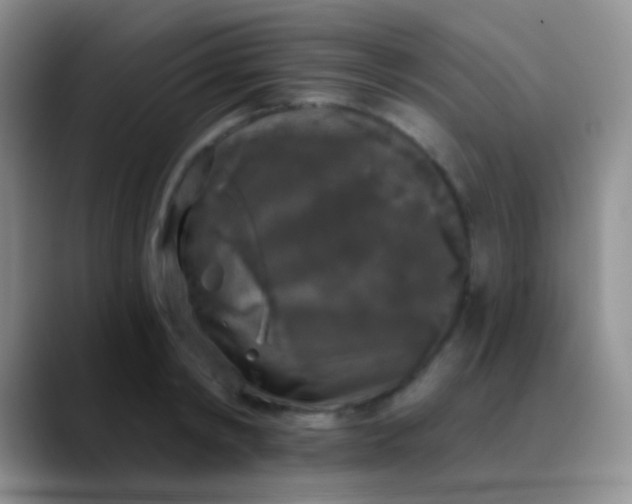 X0000089880798200707191955