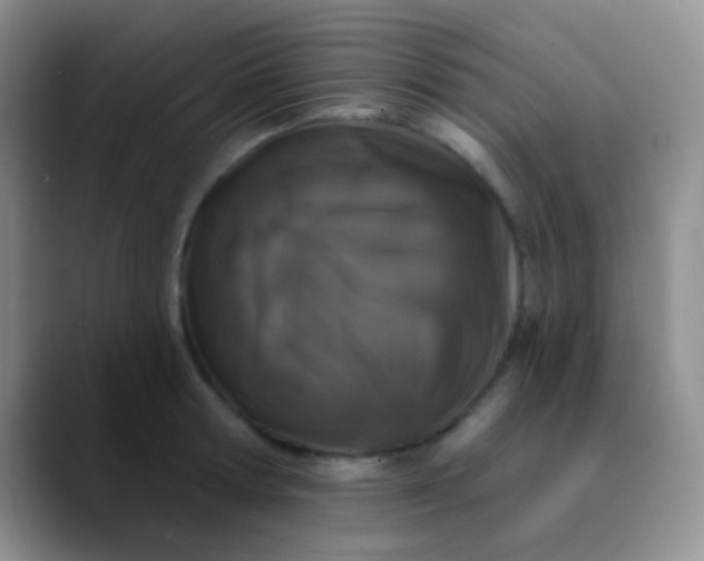 X0000089880802200707191955