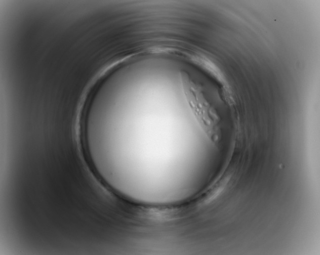 X0000089880803200707191955