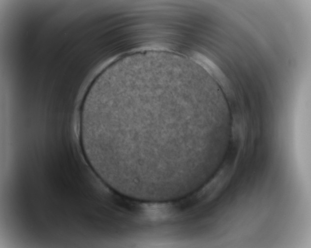 X0000089880804200707191955