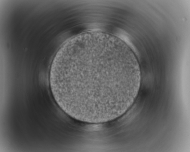 X0000089880810200707191955