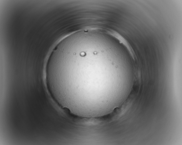 X0000089880811200707191955