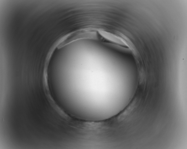 X0000089880812200707191955