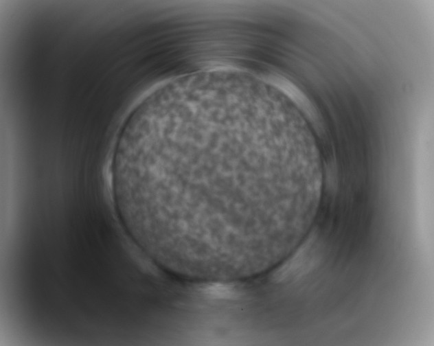 X0000089880814200707191955