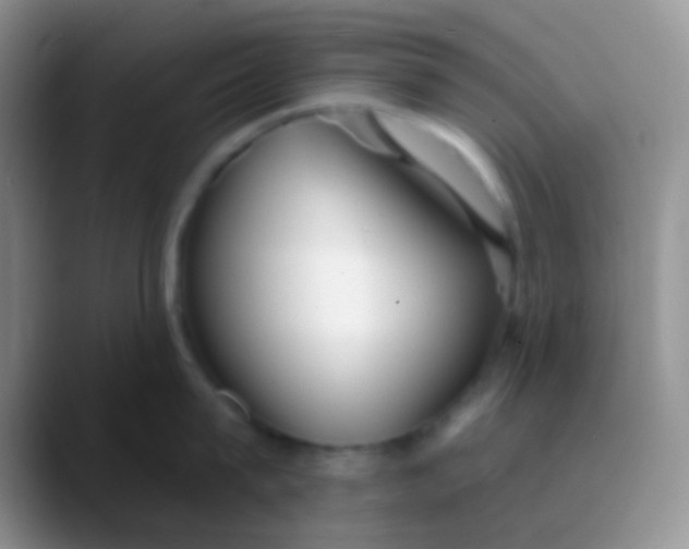 X0000089880815200707191955