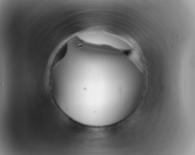 X0000089880816200707191955