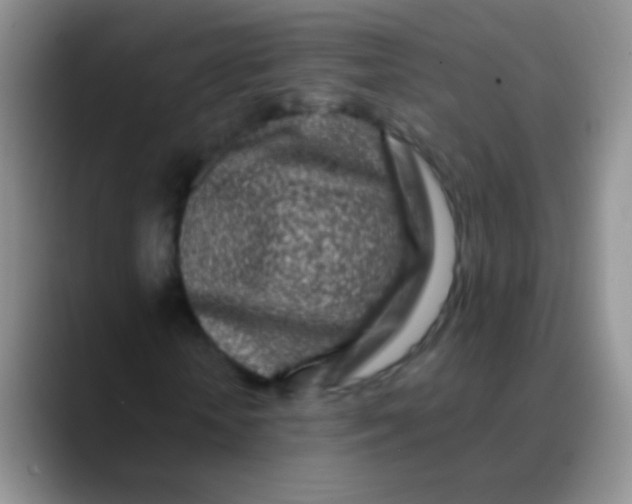 X0000089880818200707191954