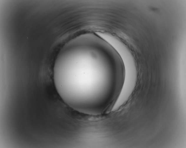 X0000089880822200707191954