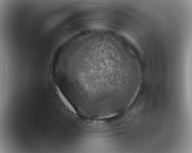 X0000089880823200707191954