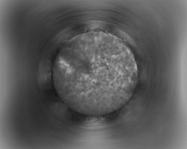 X0000089880824200707191954