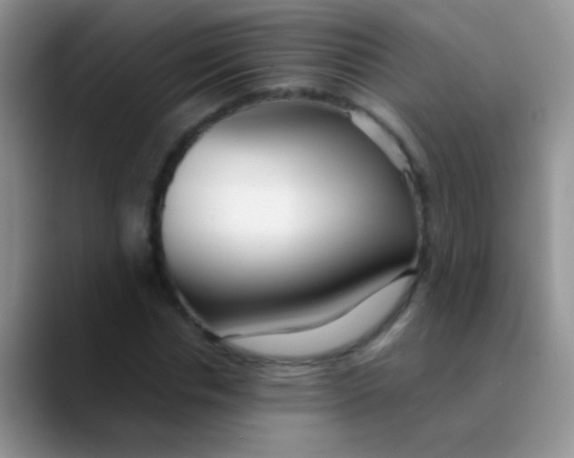 X0000089880826200707191955