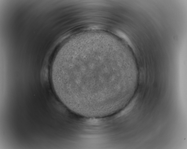 X0000089880827200707191955