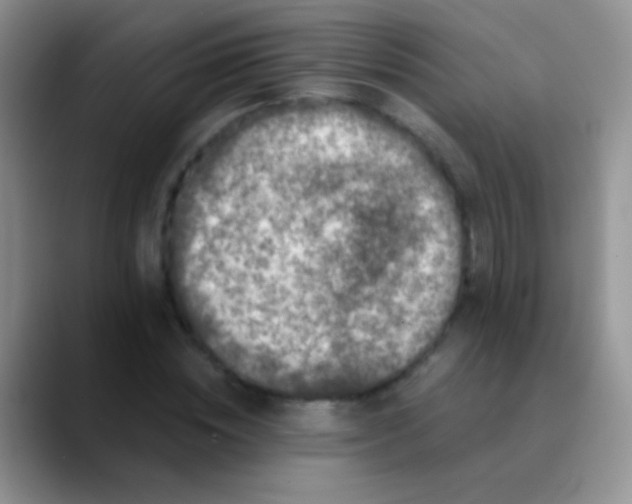 X0000089880828200707191955