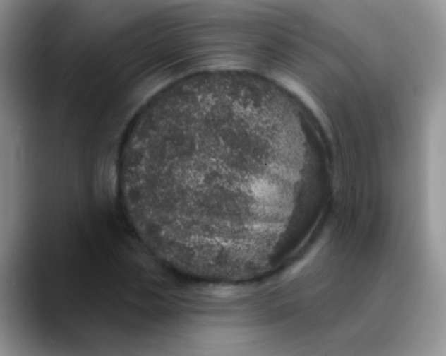 X0000089880829200707191955