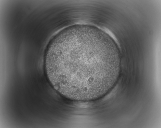 X0000089880831200707191955