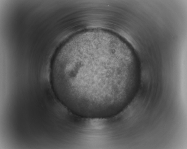 X0000089880832200707191955