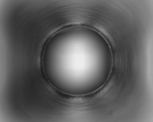 X0000089880834200707191955