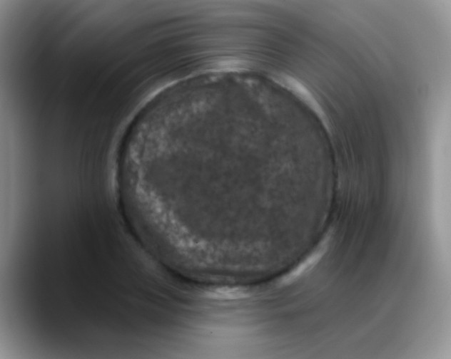 X0000089880835200707191955