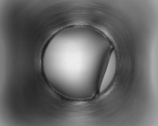 X0000089880837200707191955