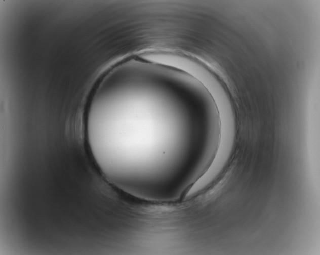 X0000089880838200707191955