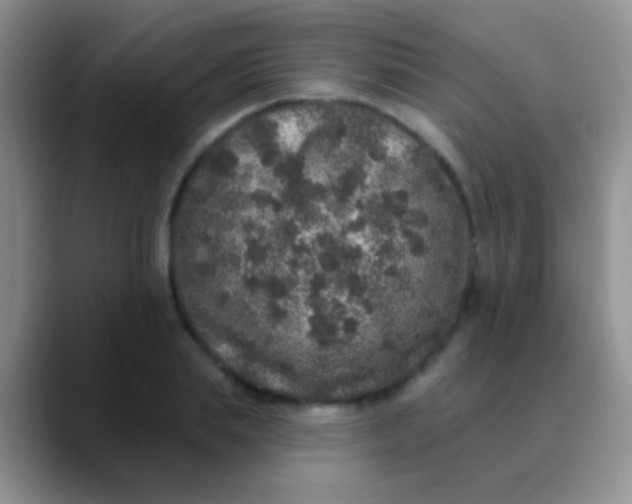 X0000089880839200707191955