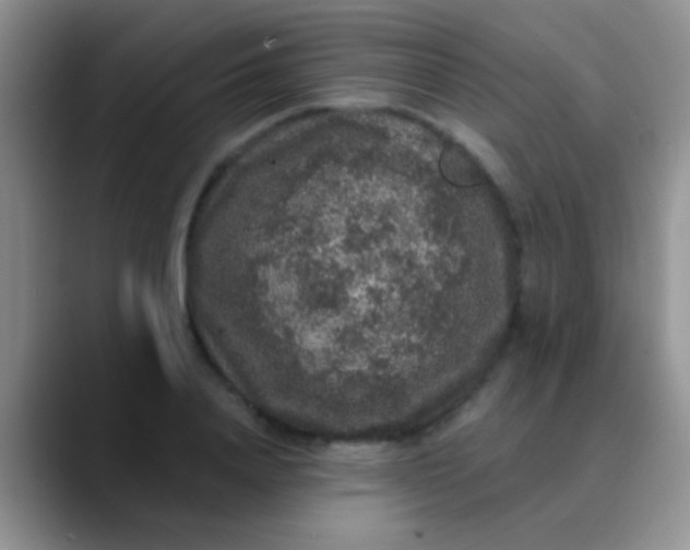 X0000089880840200707191955