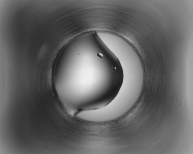 X0000089880842200707191955