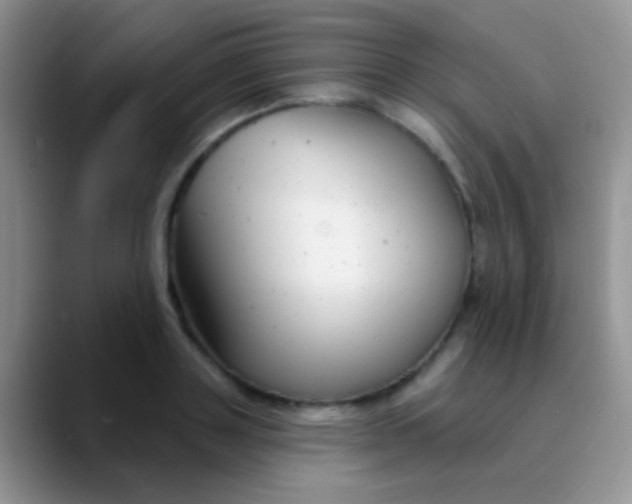 X0000089880843200707191955