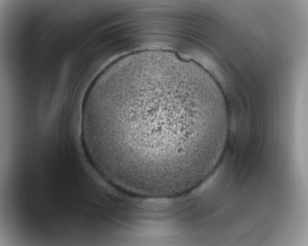 X0000089880844200707191955