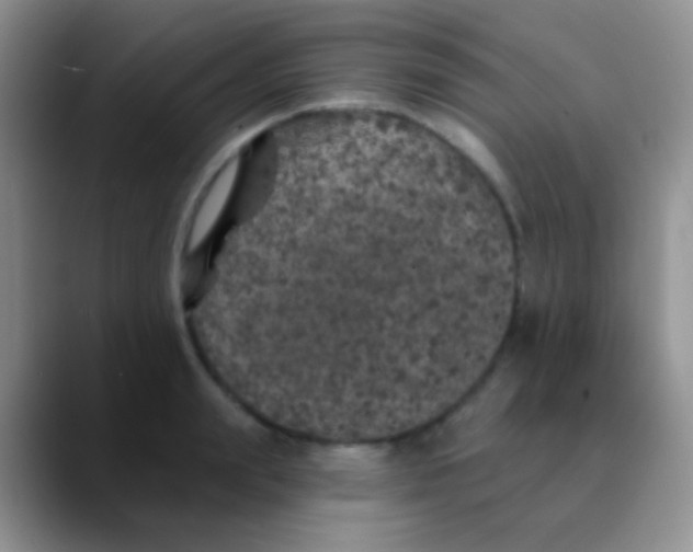 X0000089880847200707191955