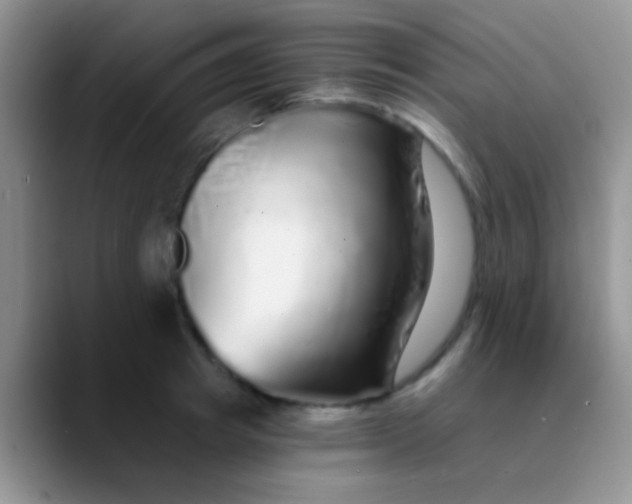 X0000089880849200707191955