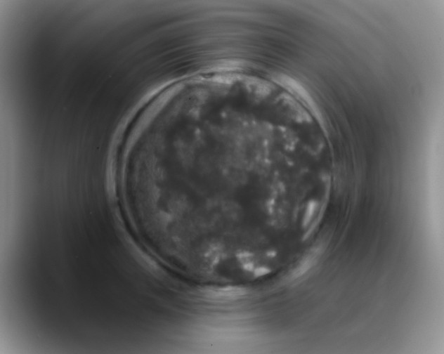 X0000089880851200707191955