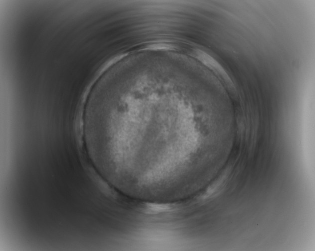 X0000089880852200707191955