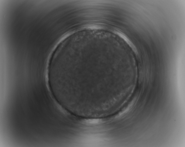 X0000089880853200707191955