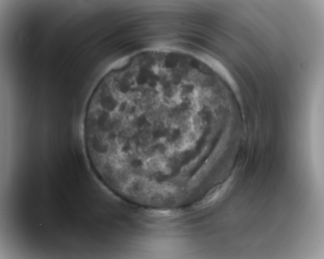 X0000089880855200707191955