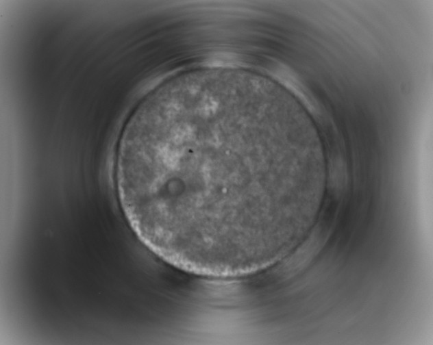 X0000089880856200707191955