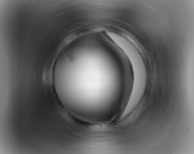 X0000089880858200707191955