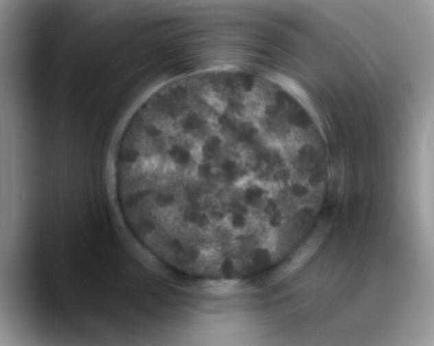 X0000089880859200707191955