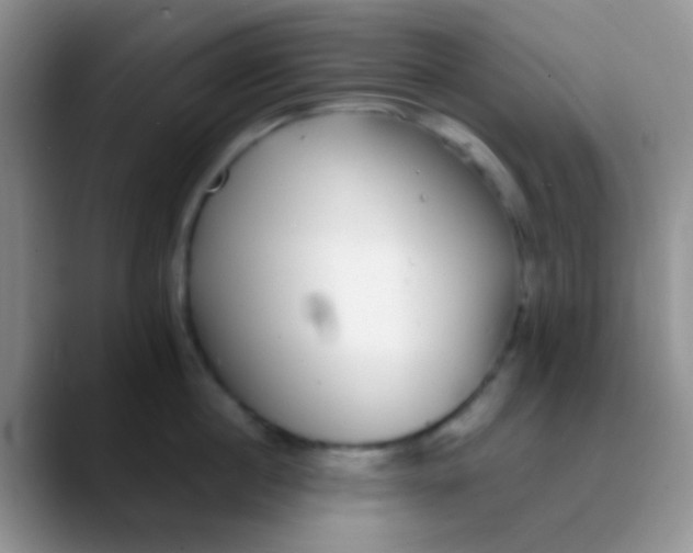 X0000089880860200707191955