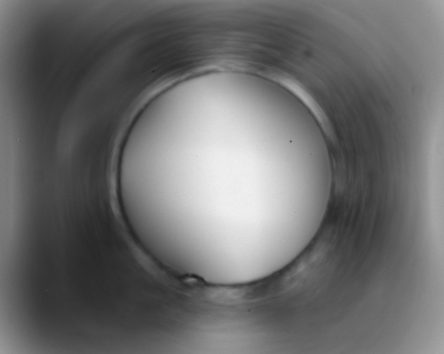 X0000089880861200707191955