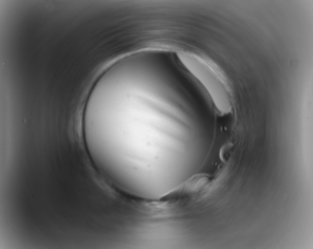 X0000089880862200707191955