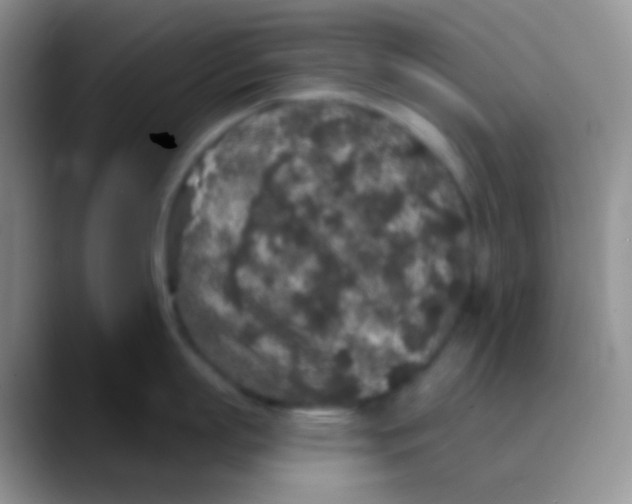 X0000089880863200707191955