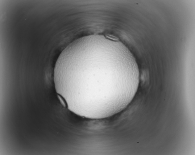 X0000089880867200707191954