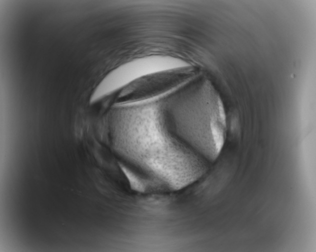 X0000089880868200707191954