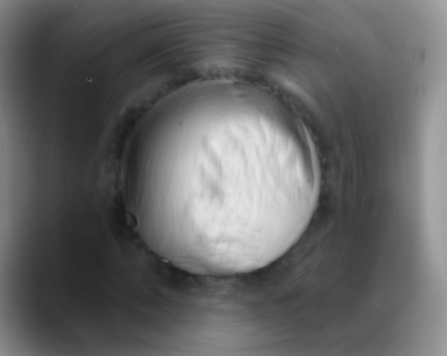 X0000089880870200707191954