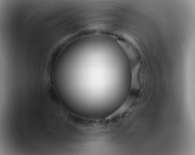 X0000089880872200707191954