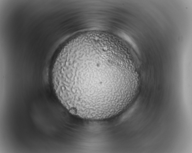 X0000089880875200707191954