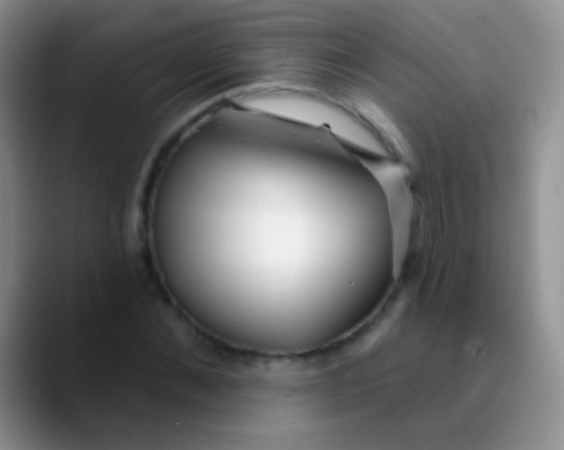 X0000089880876200707191954