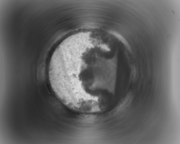 X0000089880878200707191954